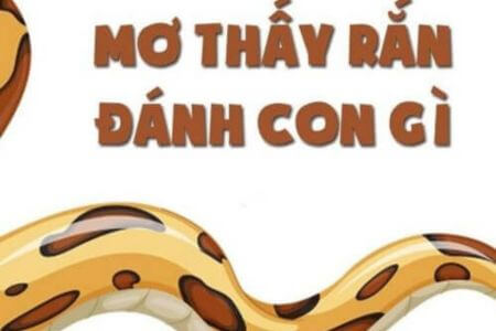 mo-thay-ran-can-danh-con-gi